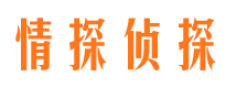 湘西寻人公司